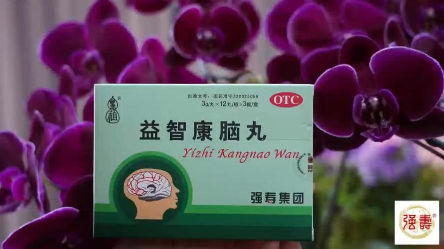 益智康脑丸的说明书