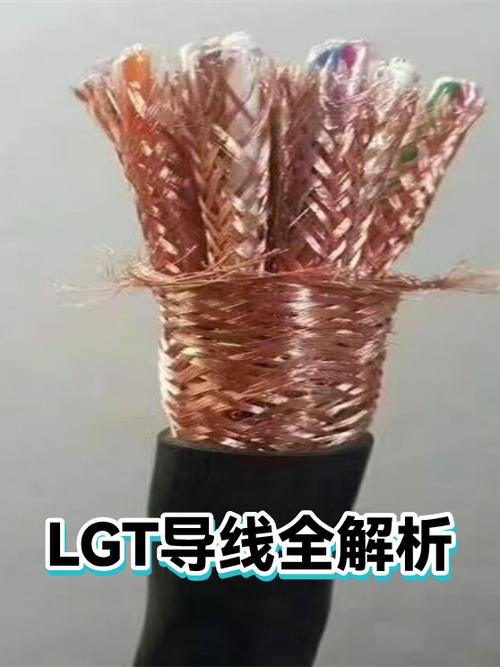 LGT代表什么图标