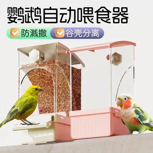 鹦鹉自动喂食器图标