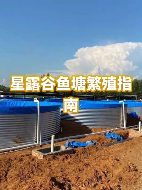 星露谷鱼塘建造条件