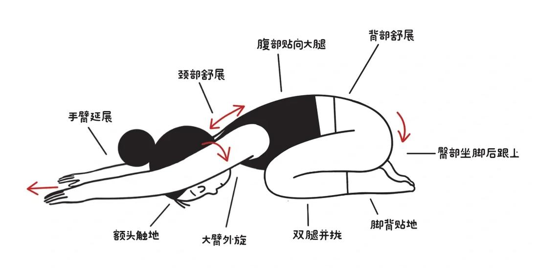瑜伽放松休息术30分钟版张蕙兰图标