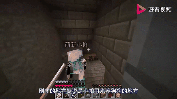 小帕解说我的世界真人照片图标