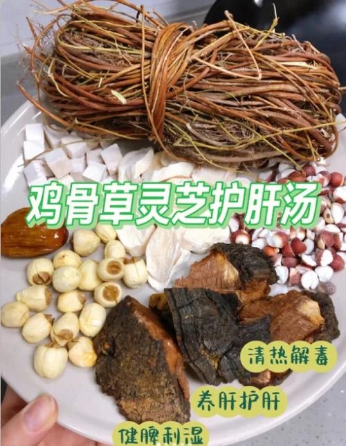 灵芝健脾祛湿汤配方