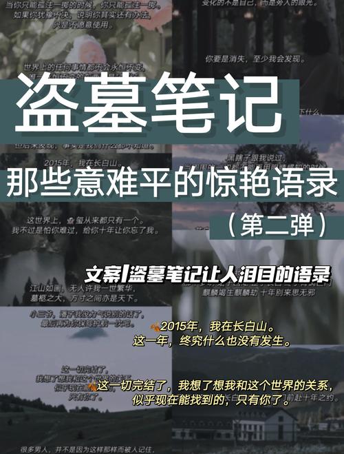 综盗笔万人迷盗墓实录最新章节图标