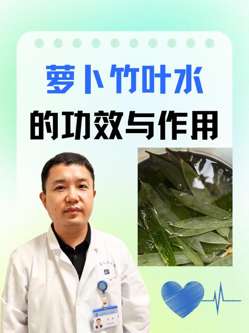 白萝卜竹叶水的功效与作用