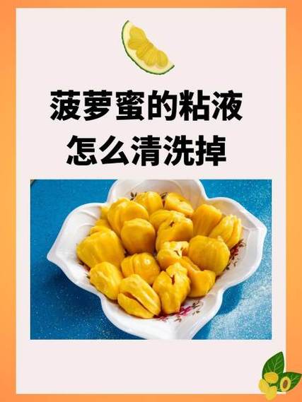秋葵丝瓜草莓菠萝蜜怎么保存不坏缩略图