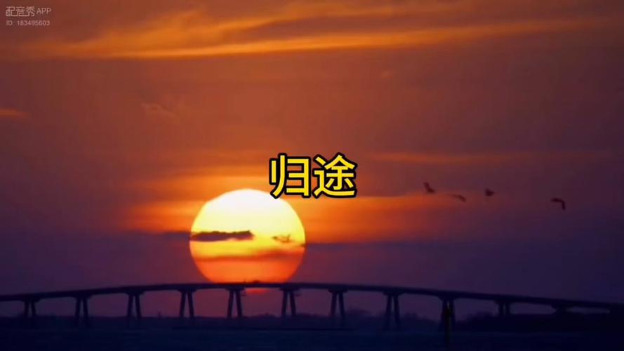 重生到离婚前的小说挽回男主