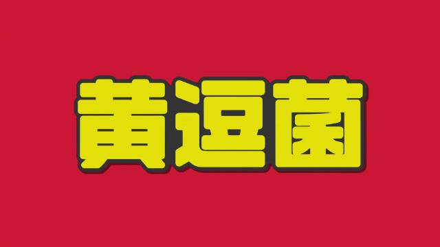 电视一直在开机页面怎么办