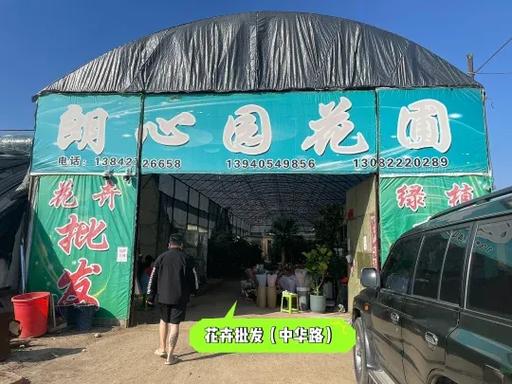 上海最大花卉批发基地