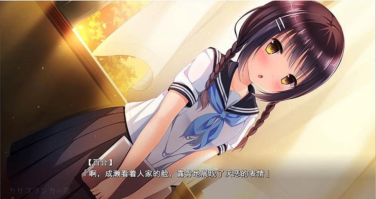 马蹄街的小圣女汉化版下载游戏截图