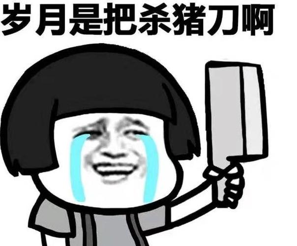 岁月杀猪刀押韵下一句图标