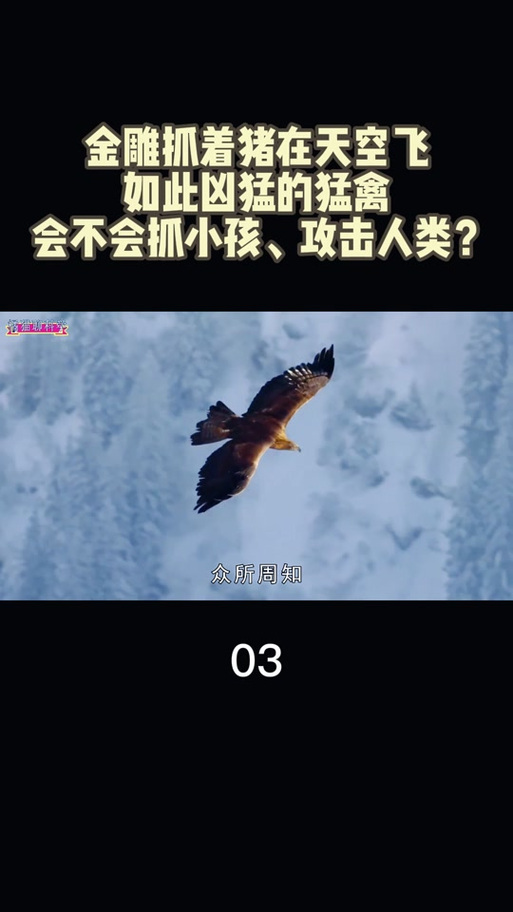 抖音可以飞在空中的是什么图标