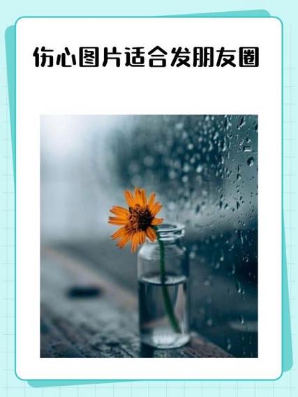 适合发朋友圈的图片