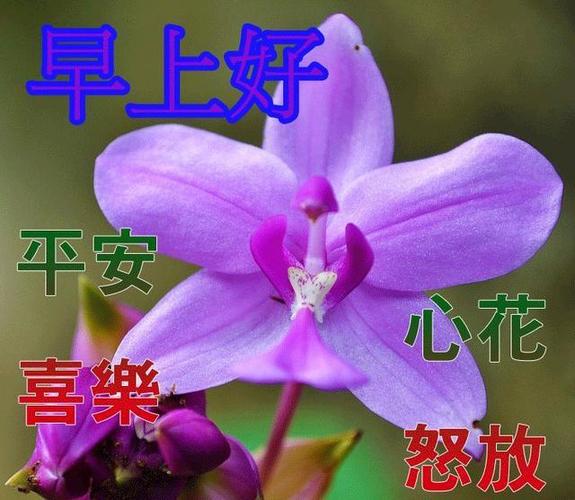 男人说好累,女人怎么回答图标