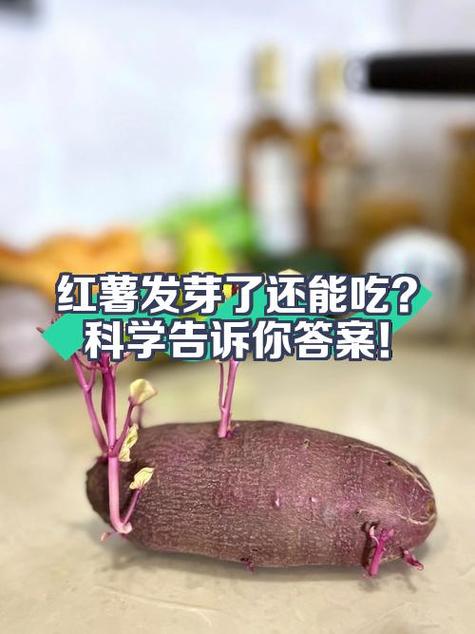 红薯阅读和答案作业帮缩略图