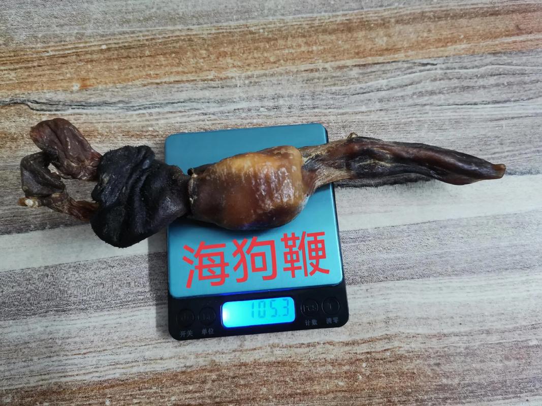 海狗根茎照片大全图片图标