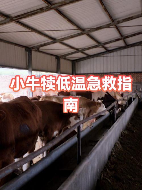 人体温度低于35度怎么办游戏截图