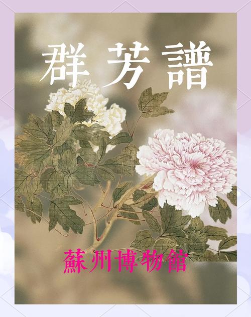 白凤仪收母群芳谱师娘免费阅读最新图标