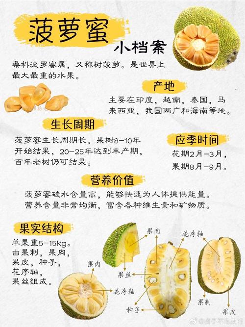 菠萝蜜直接吃吗还是要水泡一下