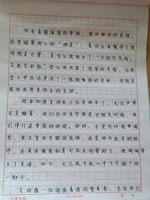 为你点赞的作文500字精选图标