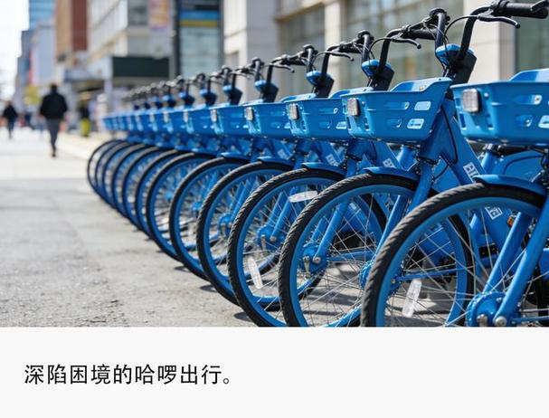 哈啰出行旧版本大全