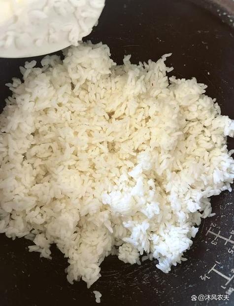 电饭锅可以热剩米饭吗图标