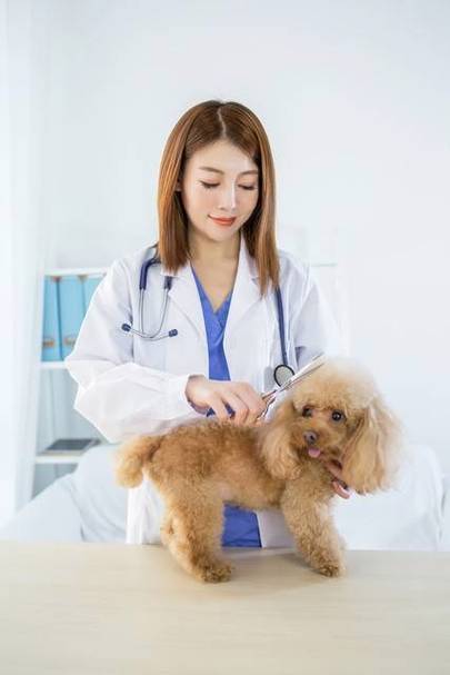 宠物美容师工资一般多少钱一个月