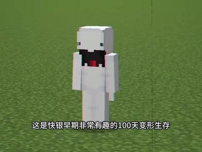 我的世界快银大挑挑战图标