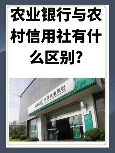 农村信用社怎么调额度图标