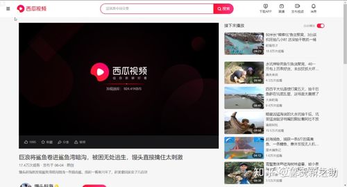 西瓜视频网页版怎么登录缩略图