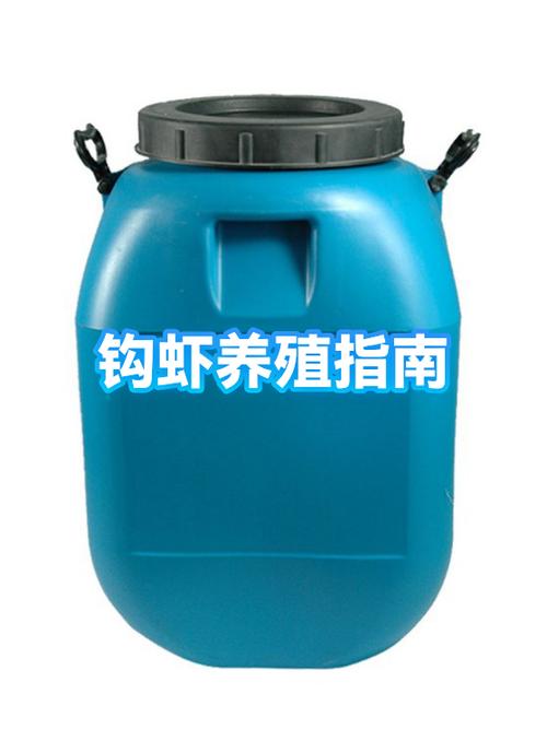 虾养殖需要什么条件缩略图