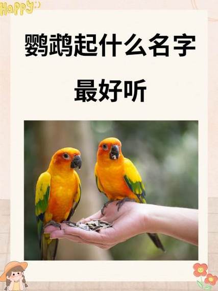 40个最洋气的鹦鹉名字图标