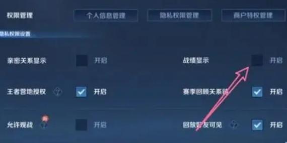 王者荣耀离线模式怎么看到战绩游戏截图