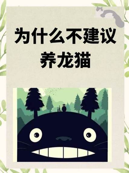 龙猫容易养活吗图标