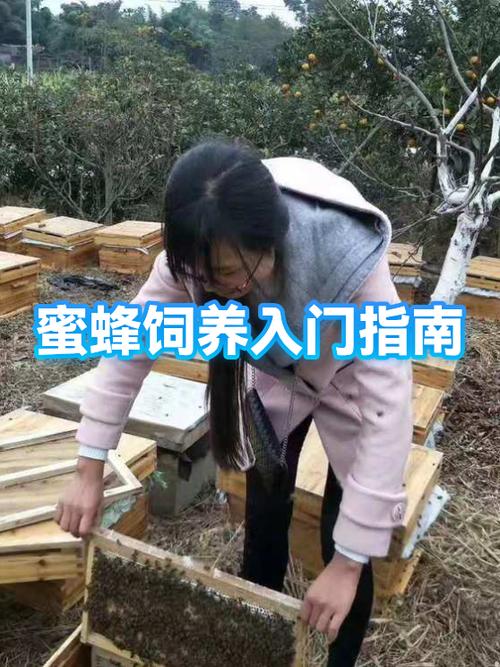 喂蜜蜂的白糖水能放多久?图标