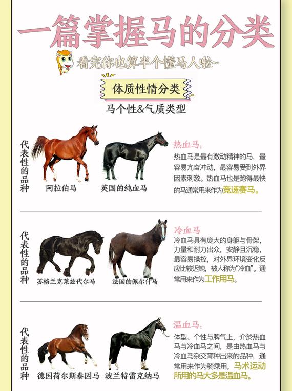 我的世界马没血了怎么回缩略图
