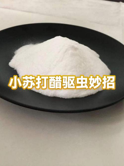 白醋灭蚂蚁正确方法图标