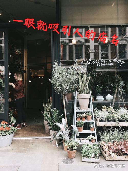 什么样的店名字能吸引男女顾客进来缩略图