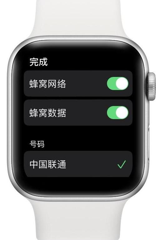 苹果手表设置蜂窝网络点不了图标