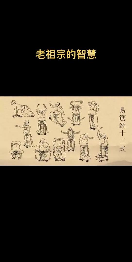 易筋经十二式分解动作正反面游戏截图