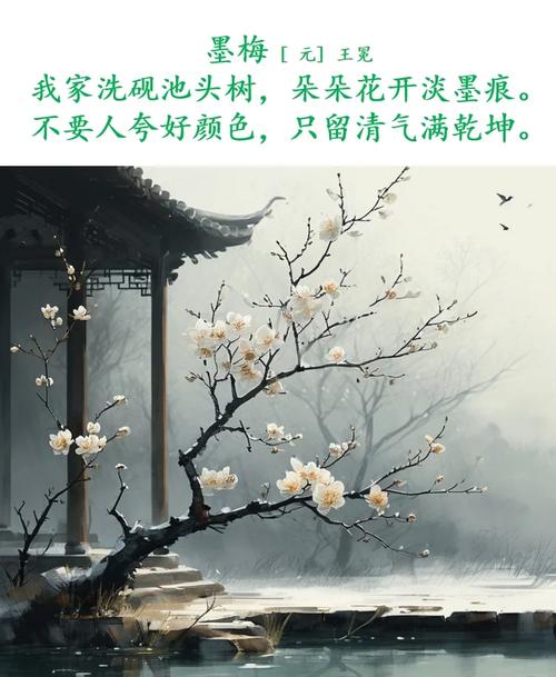 浮屠寒梅墨香TXT下载图标