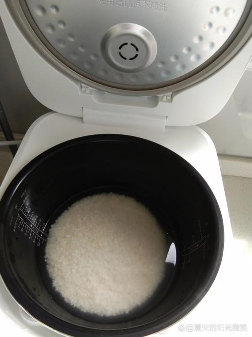 小米电饭锅煲汤用什么模式图标