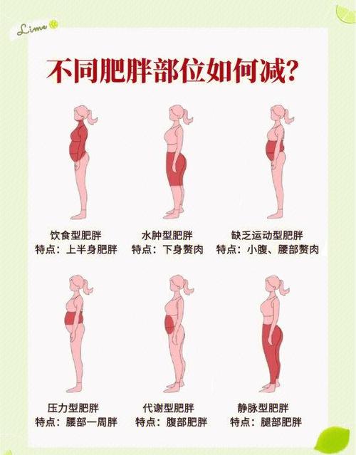 吃减肥药为什么瘦的那么快图标