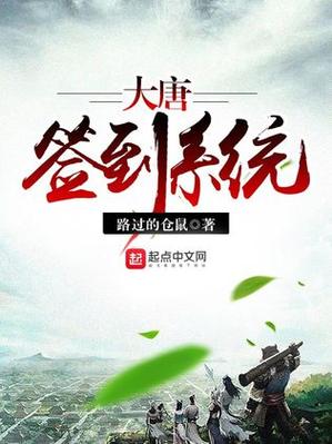 开局大唐签到获得武功的小说