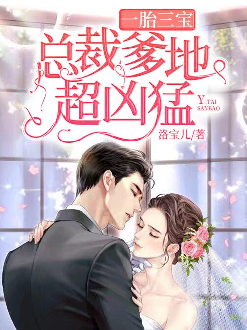一胎三宝总裁爹地霸道龙缩略图