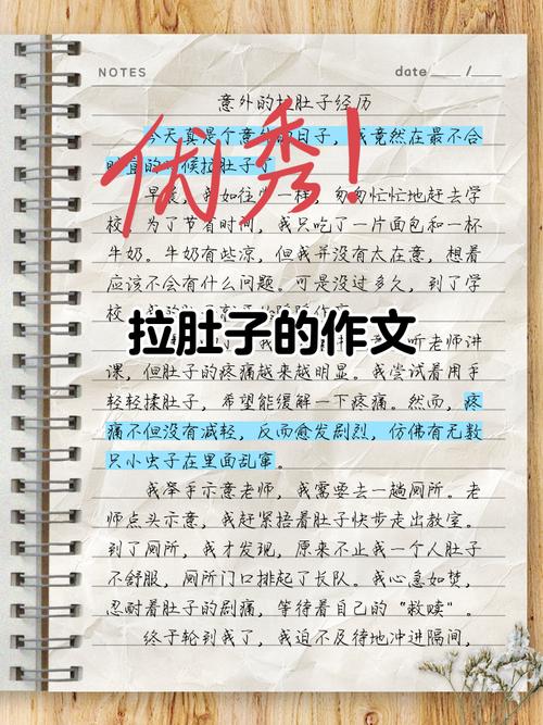 初中女生拉稀蹲厕拉了作文图标
