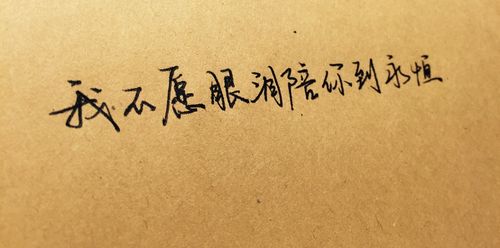 不愿一个人五月天歌词缩略图