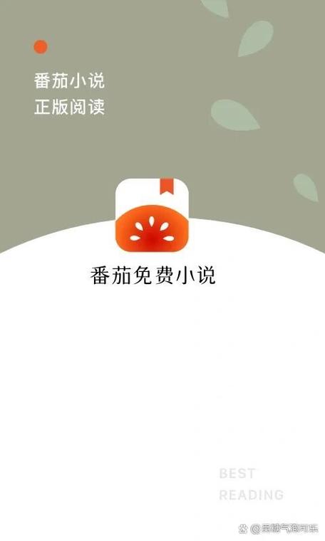 蕃茄小说旧版本iOS图标