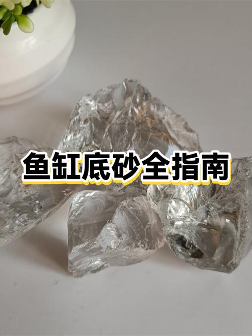 鱼缸铺设底砂的优缺点缩略图