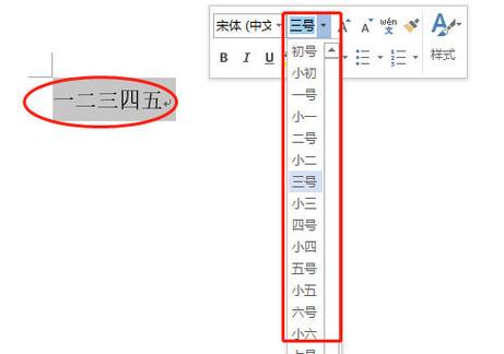 word文档中字体如何放大图标
